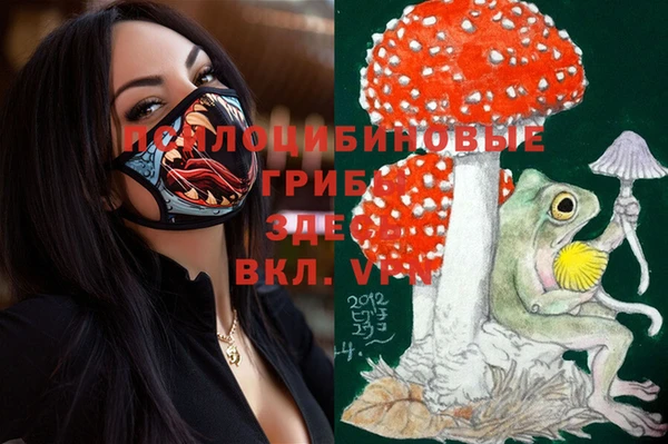 кокс Касимов