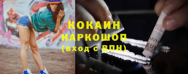 кокс Касимов