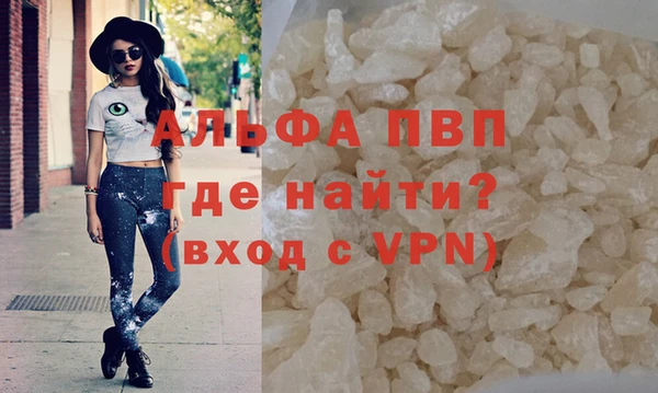 кокс Касимов