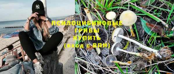 прущая мука Карталы