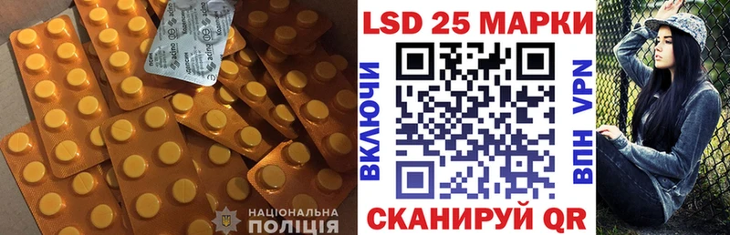 Купить закладки  Грайворон  ЛСД экстази кислота 