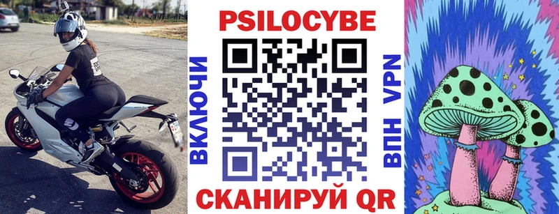 Псилоцибиновые грибы Psilocybe  Купить  Грайворон 